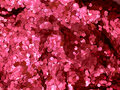 Roze biologisch afbreekbare glitters